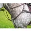 Shires Salisbury Five Point Elasticated Breastplate - Havana