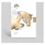 Deckled Edge Notebook - Jumping Horse
