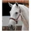 Premier Equine Plain Padded Horse Head Collar - Brown