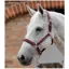 Premier Equine Plain Padded Horse Head Collar - Burgundy