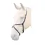 Bridleway Lavello Grackle Noseband - Black - Extra Full